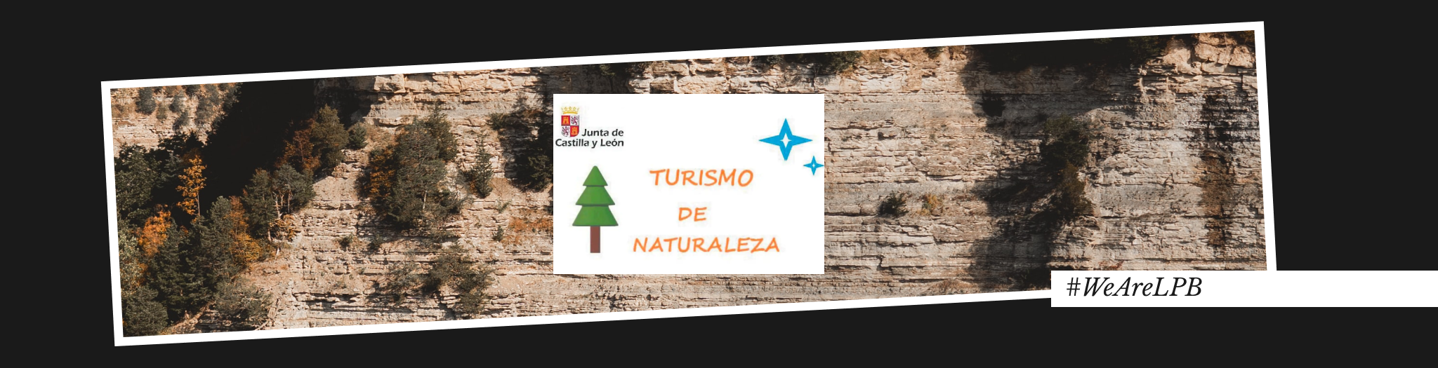 importancia diseño comunicación de marca