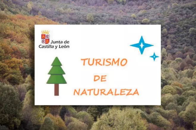 Importancia del diseño en la comunicación de marca