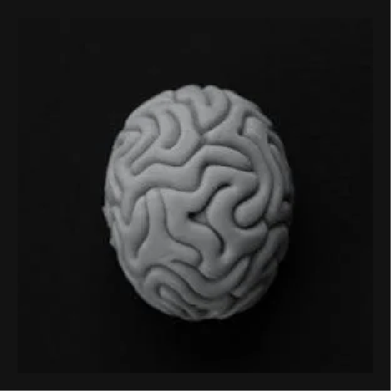 Cerebro de Videos con IRA para sector IT